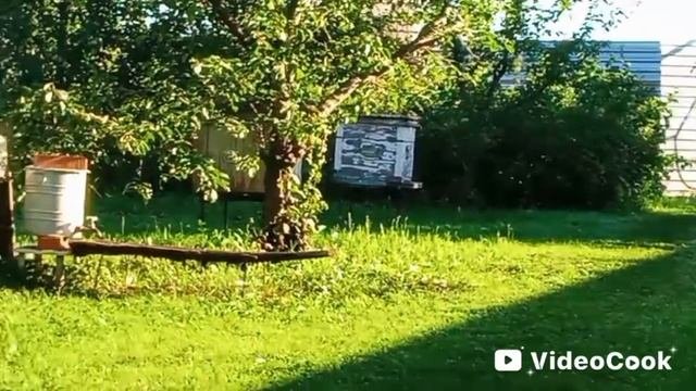 Эх, дороги...