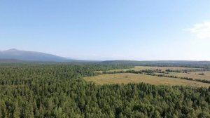 Если бы у меня были крылья...