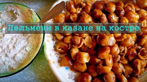 Пельмени в казане на костре / Сметанный соус для пельменей / Семейное блюдо / Жаренные пельмени