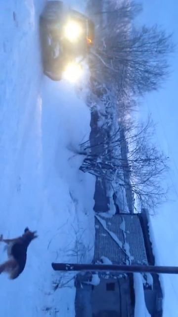 Самодельный вездеход на гусеницах. смотреть онлайн