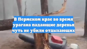 В Пермском крае во время урагана падающие деревья чуть не убили отдыхающих
