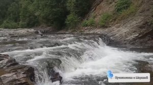 Быковских пороги летом/ отдых в лесу / 29 июля 2025 года