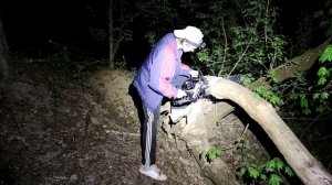 Ночная смена