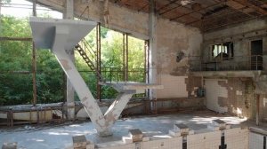 12155747-hd_1920_1080_30fps