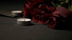 7676218-hd_1920_1080_25fps