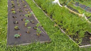 Я в гостях у Любы и Ромы!