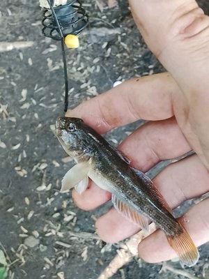 бомж рыбалка