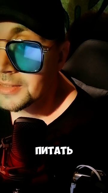 Вербальное Дзюдо