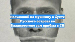 Наехавший на мужчину в бухте Русского острова во Владивостоке сам прибыл в СК