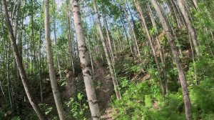 06-07-2025 поехали в Вартовск катнуть