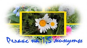Релакс на полторы минуты