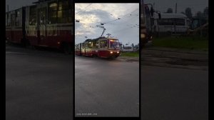 информатор 55 трамвая СПб (до станции метро пионерская)