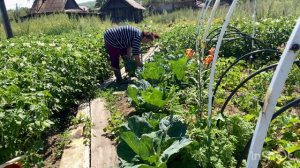 Чтобы не париться в жизни,надо париться в бане