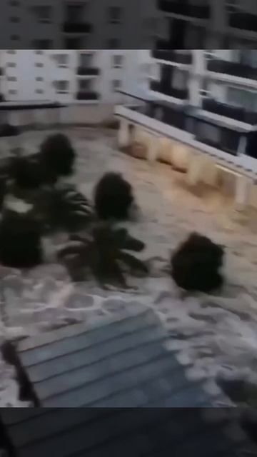 🤗🤭🫣 смотреть онлайн