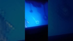 VID_20250803_210224.mp4