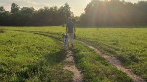 Не все собаки плавают, часть 2