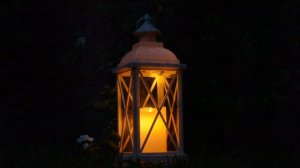 4180679-hd_1920_1080_30fps