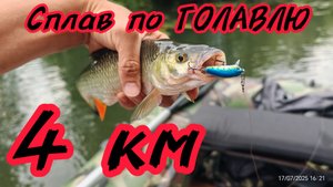 239-Сплав по ГОЛАВЛЮ. 4КМ.(17.07.2025)