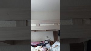 еду на дачу