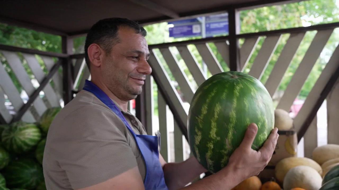 В российских регионах стартовал сезон продажи арбузов