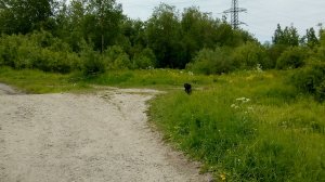 ЧТО ТЫ ПЛАЧЕШЬ СОЛДАТ?