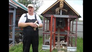 КАРАУЛ!!! ЛЫСЫЕ ЦЫПЛЯТА! ЧТО ДЕЛАТЬ? 03.08.2025 г.