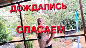 670 Купили дом на юге. Наконец-то дождались.