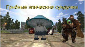 грибные 600 сундуков