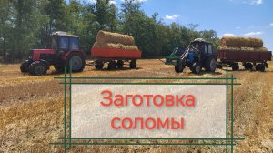 Заготовка ячменной соломы и сена люцерны.