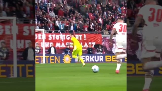Sesko!..