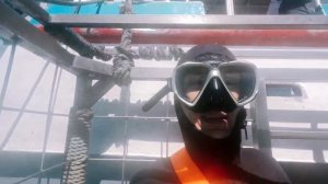 Погружение в клетке к акулам