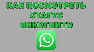 Как посмотреть статус инкогнито в Ватсапе