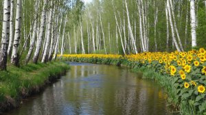 Защитники. Часть 1 - Начало