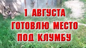 1 августа. Добралась до дальнего угла. Готовлю место под новую клумбу
