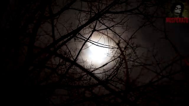 ТОТ, КТО ЗАБИРАЕТ ДИТЕЙ. Страшные истории на ночь 🫣🫣🫣 смотреть онлайн