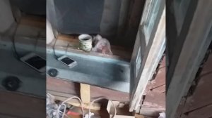 самый счастливый человек 2