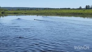 Когда отдых в радость