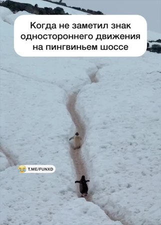 Не заметил знак😁