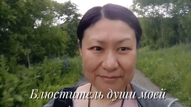 Свет - Блюститель смотреть онлайн