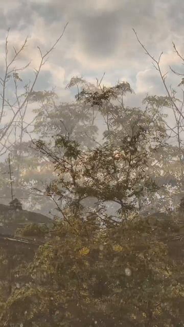 Слепой дождь ☔ смотреть онлайн