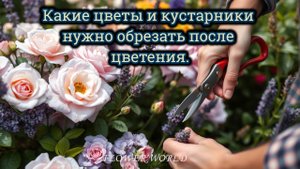 Какие цветы и кустарники нужно обрезать после цветения.💐