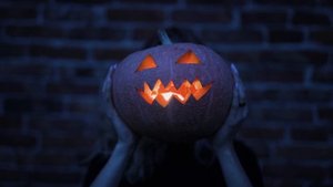 5422508-hd_1920_1080_25fps