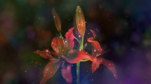 Релаксация Медитация Волшебство распускающихся цветов