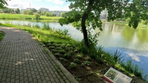 Белкинский парк, Обнинск