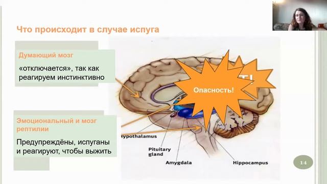 Наставники  Подростковый возраст. Травма