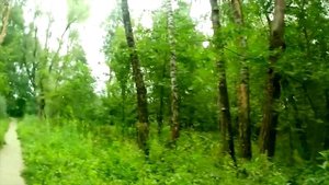 бредя по жизни