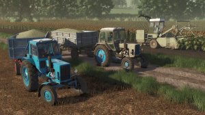 Уборка подсолнуха на силос МТЗ-80/82, комбайн Fortschritt E 281-C FS25