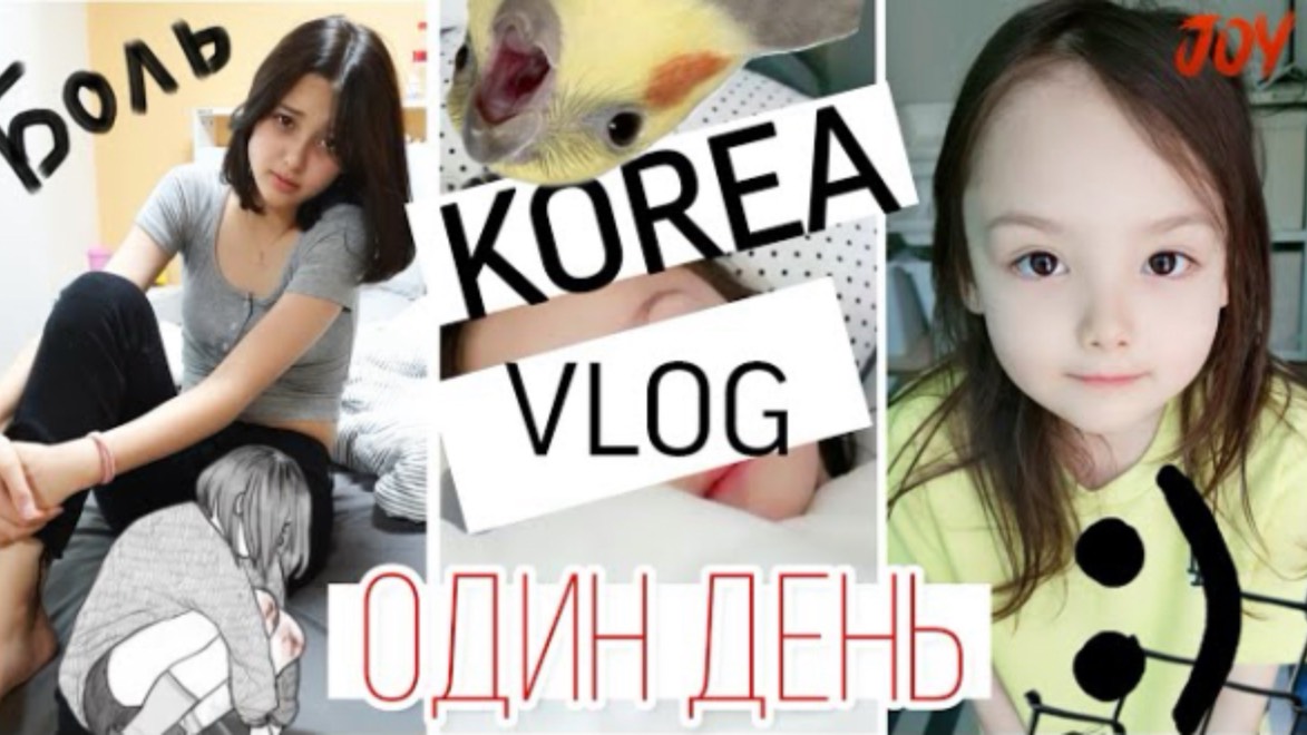 Love Korea/VLOG/больница