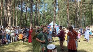 Гнёздово 2025