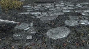 Skyrim. Попал телегой по курице